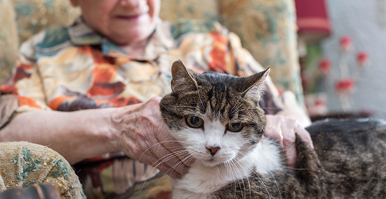 How Animals Can Help People with Dementia